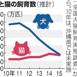 猫の飼育数、犬にほぼ並んだ　世話の負担少ない？