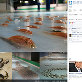 北九州・スペースワールド5000匹の魚を氷漬けにしたアイスリンクに非難の声　公式FBには残虐な表現も