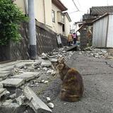 熊本被災者「犬猫に飲ませる水はねぇ！！！」