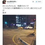 「ライオン逃げた」　熊本地震直後に不謹慎ネタツイートの男を偽計業務妨害の疑いで逮捕