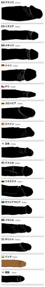 新・世界の男性のペニスサイズ　日本の男性は意外にもあの国と同等…!?：コメント7
