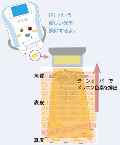 やったことがあるものにプラス：コメント1607