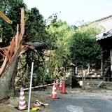 狩野英孝の実家神社が台風で大破！「女遊びは控えろ」という神のお告げ？