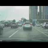 カザフスタンで"リアルチョコボ"が目撃される　渋滞の道路を疾走