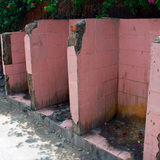 トイレ普及急ぐインド　「辱め」を受ける外で排泄する人たち