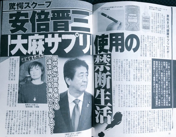 安倍昭恵氏のInstagramに「半裸男性」炎上し写真を削除：コメント27