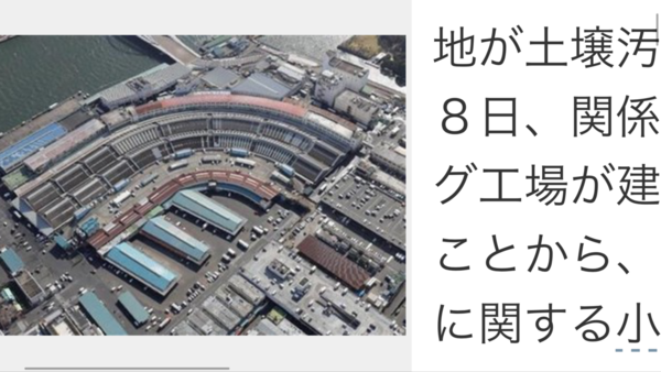 [豊洲問題　築地市場敷地も土壌汚染の恐れ　義務付けられた調査怠る]：コメント1