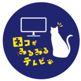 「ネコ」が視聴者の番組、NHKで放送決定