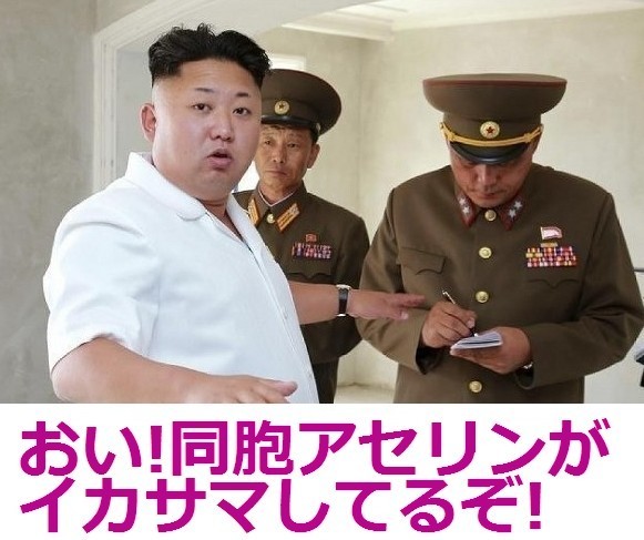 北朝鮮、韓国紙の記者を名指しで糾弾「極刑に処する」「即時執行だ」：コメント19