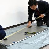 旅客機パネル、全日空(ANA)機から落下…翌日も同機体から落下