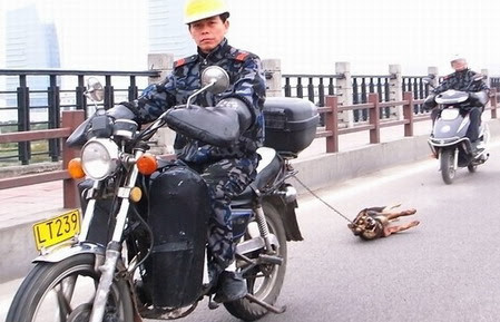 中国で犬をバイクで引きずり回す遊びが流行ってしまう：コメント1