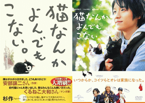 「理想の猫じゃない」と踏み殺す 元学校臨時教職員の男を容疑で書類送検 「20匹殺し、燃えるごみで出した」：コメント35