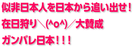 DHC会長の発言「日本には驚くほどの数の在日がいる　似非日本人はいらない。母国に帰れ」：コメント124