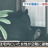 民家にクマが逃げ込む、女性が2階に避難　山口県