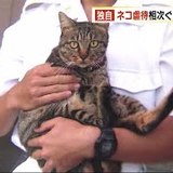 福岡市でネコ虐待相次ぐ　何者かに腹を切られる　えさ置き場にナイフも　住民「気味が悪い」