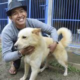 【生き物】バリ島原産「キンタマーニ犬」をブランド化へ　インドネシア、観光資源へ