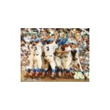 殺人猛暑・甲子園　ドーム移転あり？ 球児ナマ声を緊急アンケート