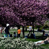 パリの公園で全裸日光浴をすると「変態」がのぞく　ヌーディスト女性が被害訴え