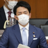 小泉進次郎氏に緊急事態…吉村大阪府知事の露出増で"イケメン政治家枠"ファン離れ