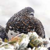 学校で次亜塩素酸水「噴霧しないで」、文科省が注意喚起