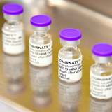 国内初、ファイザーが3回目接種の承認申請…すでに米仏で高齢者などに開始