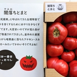 見た目が怖い「尻腐れ」トマトを「闇落ちとまと」と名付けたら人気に　トマト農家のアイデアに賞賛の声