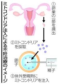 アラフィフでも妊娠する…母子ともに高リスク　望まないならしっかり避妊を：コメント5