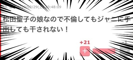 神田沙也加に不倫直撃、直後に離婚発表　ジャニーズJr.と交際：コメント22