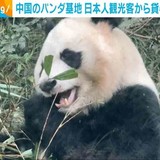 中国のパンダ基地 日本人観光客から貸与を望む声「できればずっと続けてほしい」