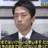 「日本のために政治家引退してくれ」若者層に人気の小泉進次郎　TikTok初投稿も…コメント欄大荒れのまさか